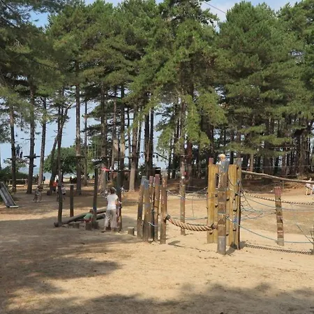 Haus Waldluft Whg. Birke