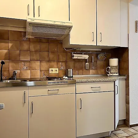 Haus Waldluft Whg. Birke *