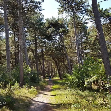 Apartamento Haus Waldluft Whg. Birke *