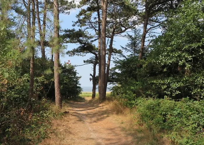 Haus Waldluft Whg. Birke Lejlighed